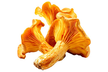 Sticker - Orange cap chanterelle mushroom isolated on a white background.