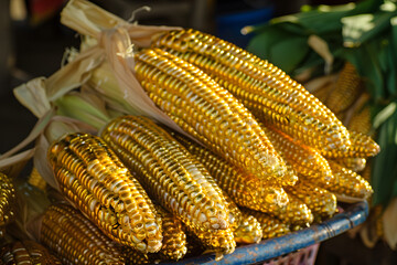 Poster - Corncobs made of gold