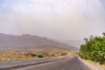 Wall Mural - A road with a few trees on the side and a house in the distance