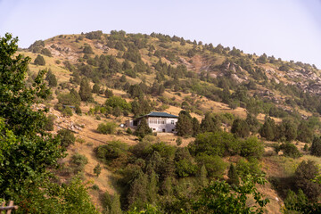 Wall Mural - A house is on a hill with a lot of trees