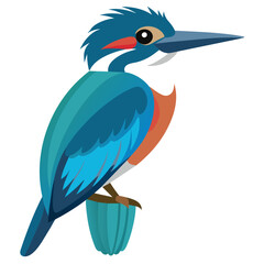 Wall Mural - Stunning Belted Kingfisher Vector Illustration: Perfect for Your Wildlife Art Collection