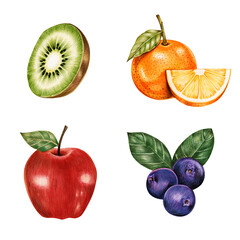 Wall Mural - Summer fruits illustration png sticker collection