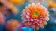 © FryArt - Close-up of a pink autumn flower in a garden