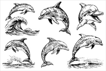 Sketch set of dolphin on white background