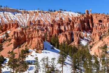 Breathtaking winter view of the Amphitheater hoodoos in Bryce Canyon National Park. Snow covers the red rock under a clear blue sky. The landscape is dotted with evergreen trees - Utah, USA