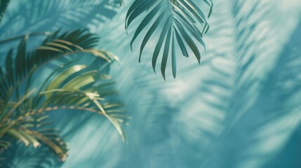 Canvas Print - Palm Leaf Close Up