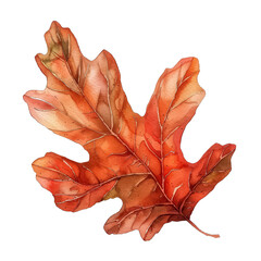 Wall Mural - A leaf with a brown center and a red edge