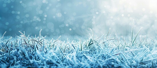 Poster - Winter frost decorating grass in the background of a copy space image.