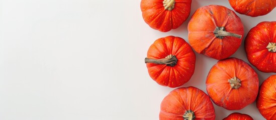 Poster - Top view of pumpkins on a white background with space for text - a creative autumn-themed image perfect for Thanksgiving.