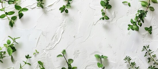 Poster - A white textured background with mint branches, providing ample copy space in a top view horizontal photo.