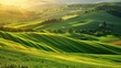 © rachmat - Sun-dappled fields in tranquil countryside