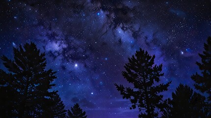 Wall Mural - night sky with stars