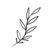 © Kati Moth - Hand drawn leaf line art doodle, delicate illsutration