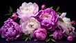 © Palette_Dreams - Pink and white peonies