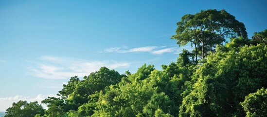 Sticker - An observation tower against a backdrop of a clear blue sky and lush green trees provides a perfect copy space image.