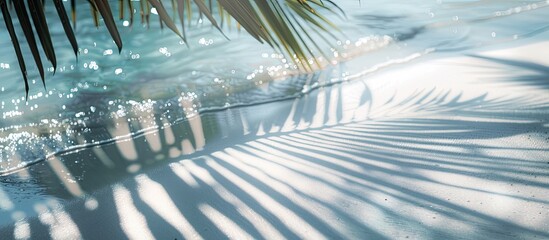 Aufkleber - Abstract white sand beach with a palm leaf shadow casting onto it, sunlight reflecting off the water surface creating a serene summer vacation-themed copy space image.