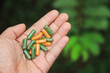 © Apiwat - Herbal capsules from herb on hand for healthy eating in daily life