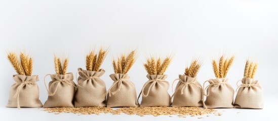 Canvas Print - White background with copy space image featuring bags filled with wheat flour.