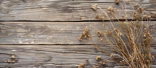 Sticker - Background with a natural pattern on wooden texture, featuring copy space image opportunity.