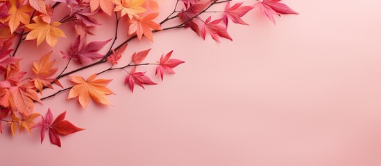 Aufkleber - Colorful fall foliage set against a pink backdrop with a vacant copy space image adjacent to it.
