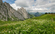 © Dirk - View on a beautiful alpine meadow with white wild flowers in the background, Gastlosen mountain rock formations in the background. Beautiful summer view in the Swiss Alps. Wonderful hiking and travel.