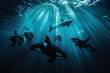 © bajita111122 - A swirl of Orca swimming, shot from beneath the group looking up, sunlight streaming down through the water