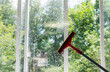 © MaxSafaniuk - Сleaning windows. Cleaning glass use squeegee. Windows cleaning in summer day.