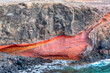 © Leilani - Cliff with a red flow of water running down it. Majestic rock formation overlooking the ocean