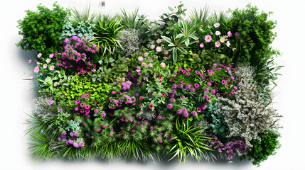 Wall Mural - Flower bed with grasses, top view , transparent background