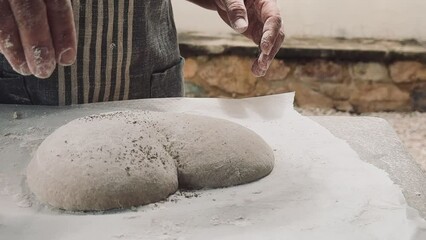 Wall Mural - Artisan baker sprinkles oregano on the dough. 
