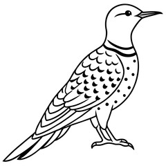 Wall Mural - Northern Flicker Bird Graphic in Vector Format