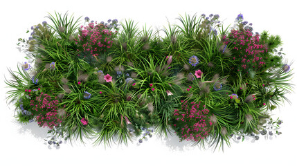 Wall Mural - flower bed with grasses, top view , transparent background