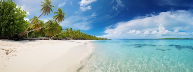 Wall Mural - Caribbean Shores White Sandy Beach with Palm Trees.jpeg