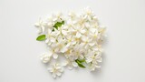 Top view of a group of jasmine flowers on a white background