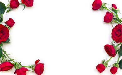 Wall Mural - red flowers roses with space for text on white background. top view, flat lay