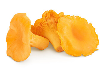 Wall Mural - Chanterelle mushroom isolated on a white background