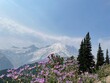 © Olivia - Scenic hiking view with flowers mountains and tress