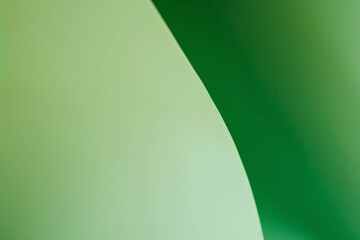 Wall Mural - Beautiful green abstract background with a smooth curve exudes elegance and sophistication. Featuring a modern. Minimalist design with clean. Light colors and a subtle texture