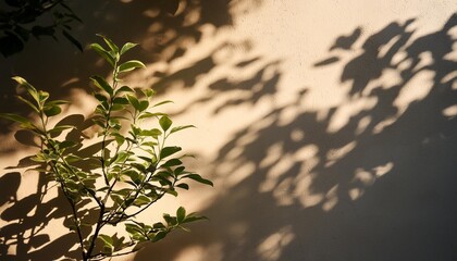 Sticker - minimalist aesthetic sun light shadows of plant leaves elegant foliage silhouette on neutral beige concrete wall background copy space