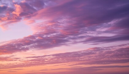 Wall Mural - pink purple violet cloudy sky beautiful soft gentle sunrise sunset with cirrus clouds background texture