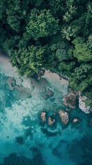 Wall Mural - Aerial View of Tropical Paradise: Lush Green Coastline Meets Turquoise Waters