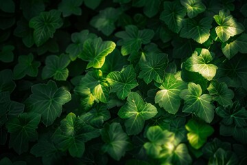 Wall Mural - Vibrant green bush leaves with dappled light and shadow creating a captivating background