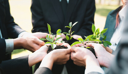 Wall Mural - Business people hold plant together in unity and teamwork concept of eco company committed to corporate social responsible, reducing CO2 emission, embrace ESG principle for sustainable future. Gyre