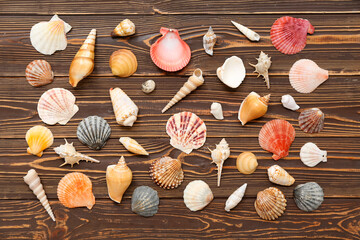 Wall Mural - Many different sea shells on wooden background