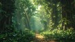 © tinnakorn - A sunlit path winds through a dense, lush jungle, dappled with sunlight. The air is misty and the foliage is vibrant and green.