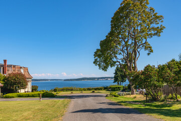 Port Townsend landscape trees and viewpoint.