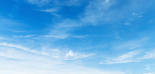 Wall Mural - sky is blue and clear with no clouds