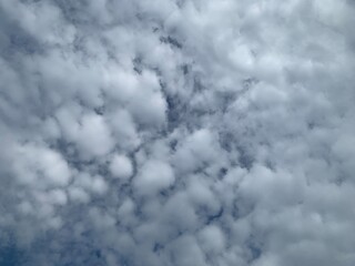 Wall Mural - clouds in the sky