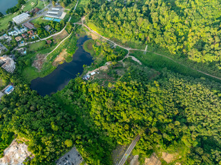 Aerial view Drone camera top view rainforest trees ecology with healthy environment concept and summer background,Green environment background