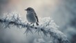 © Marlon - A small bird perched on a branch covered with frost and snow. It's sitting alone in the cold wintery conditions creating an almost eerie atmosphere around it.